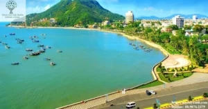 Dịch vụ cắt tỉa cây xanh tại Vũng Tàu năm 2023