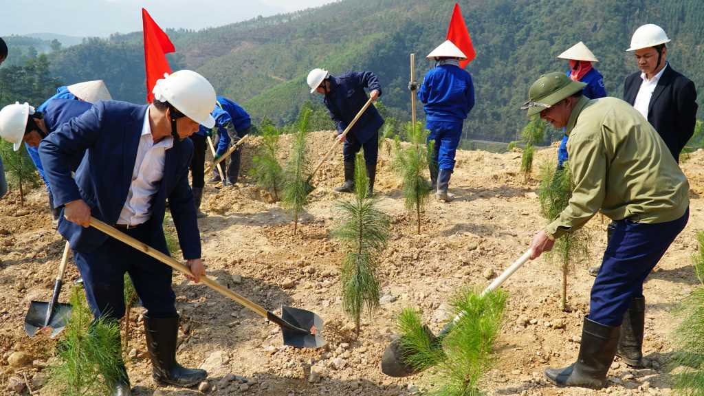Dịch vụ chăm sóc cây xanh KCN Đông Xuyên Vũng Tàu năm 2023 Dịch vụ chăm sóc cây xanh KCN Đông Xuyên Vũng Tàu năm 2023