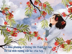 Dịch vụ chặt hạ cây xanh tại Vũng Tàu
