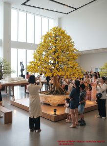 Cho thuê mai chăm mai hoa mai vũng tàu