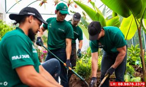 Chăm sóc cắt tỉa cây xanh