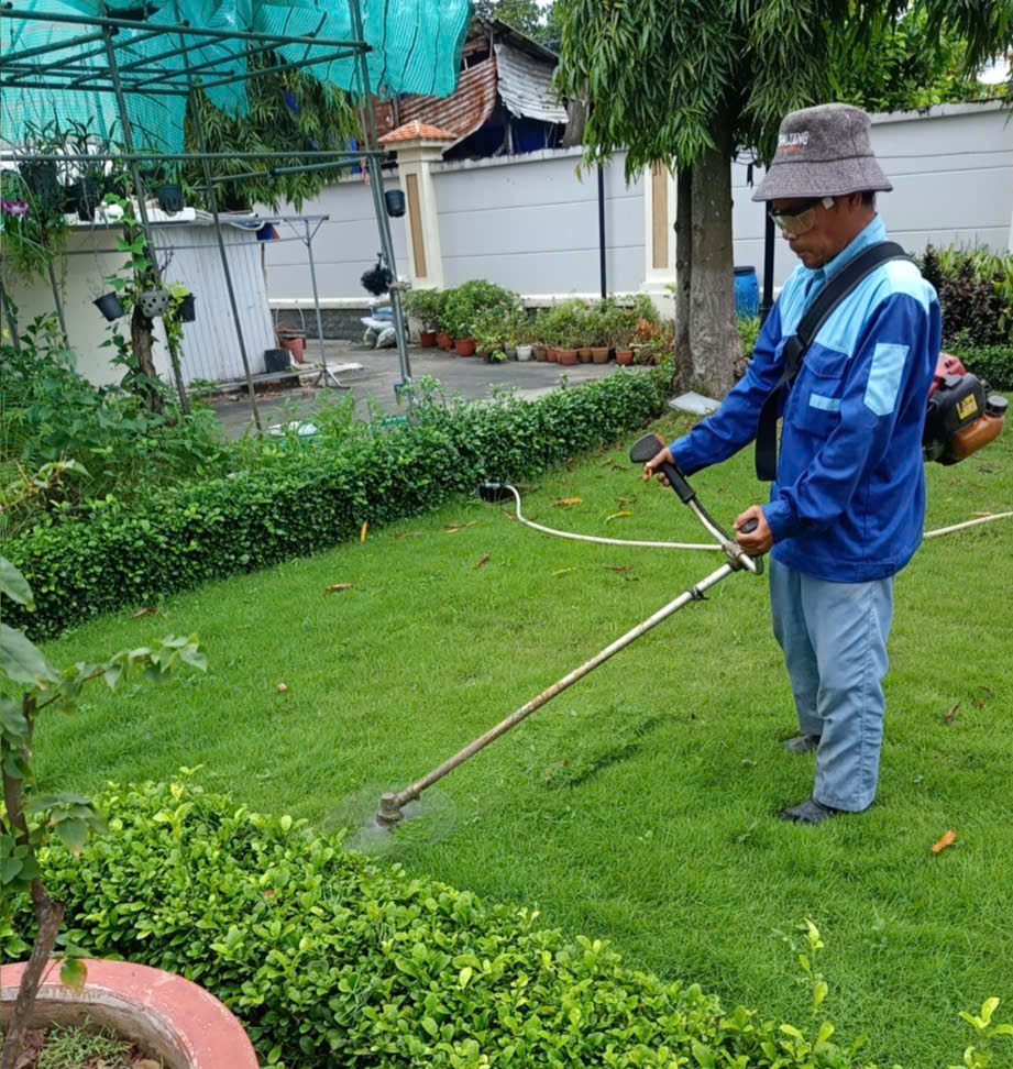 Đội Cây Xanh Đức Lâm cắt cỏ, chăm sóc sân vườn tại Bà Rịa