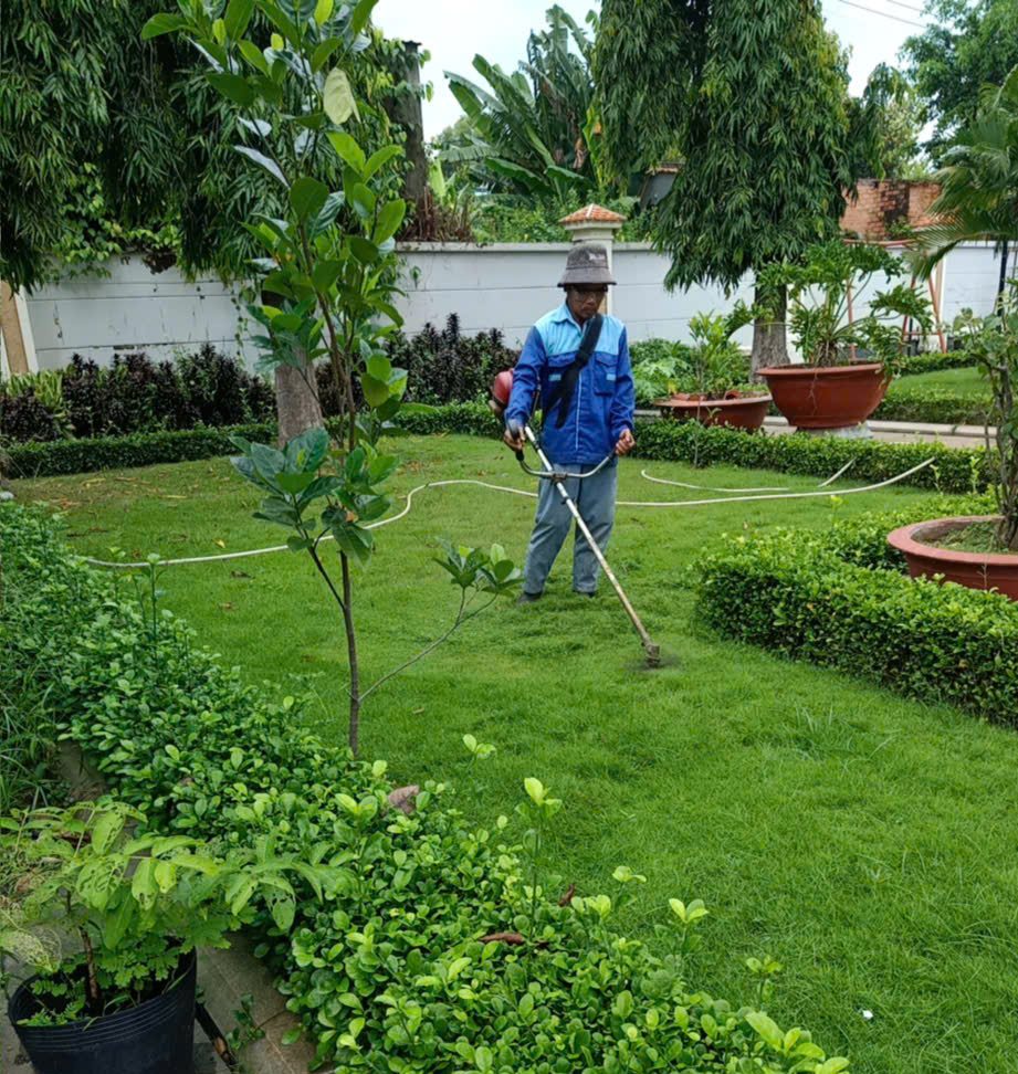 Cắt cỏ sân vườn tại Bà Rịa