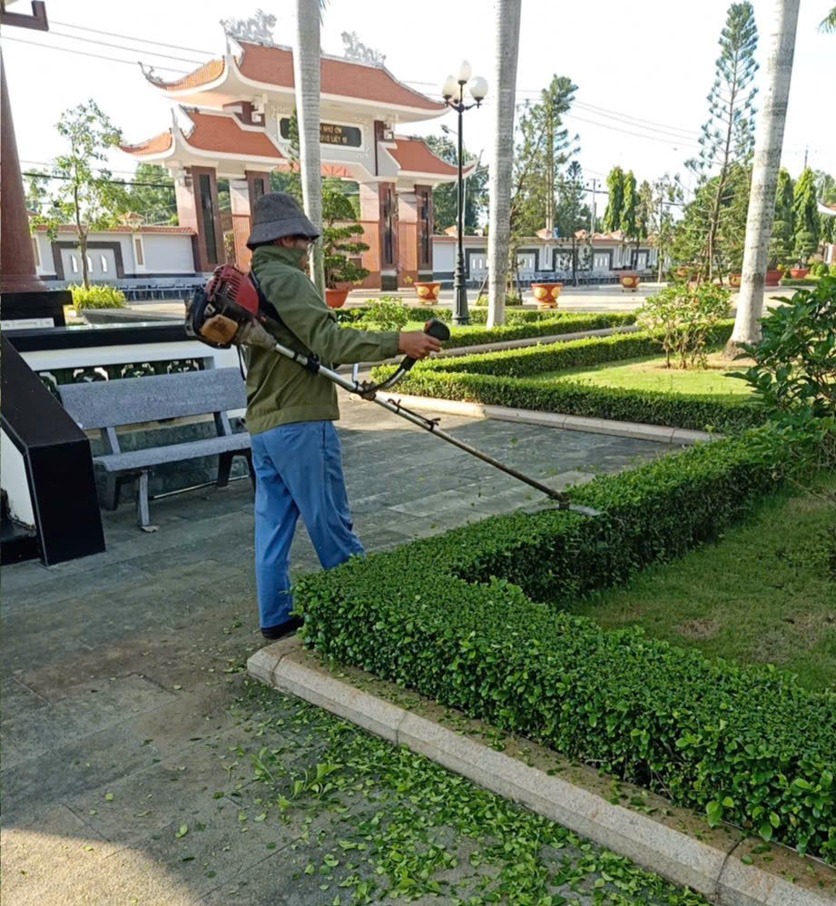 Cắt tỉa hàng rào cây xanh tại Bà Rịa