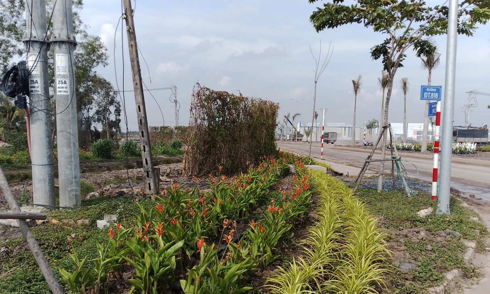 Dải phân cách ĐT818 Thủ Thừa sau khi hoàn thành