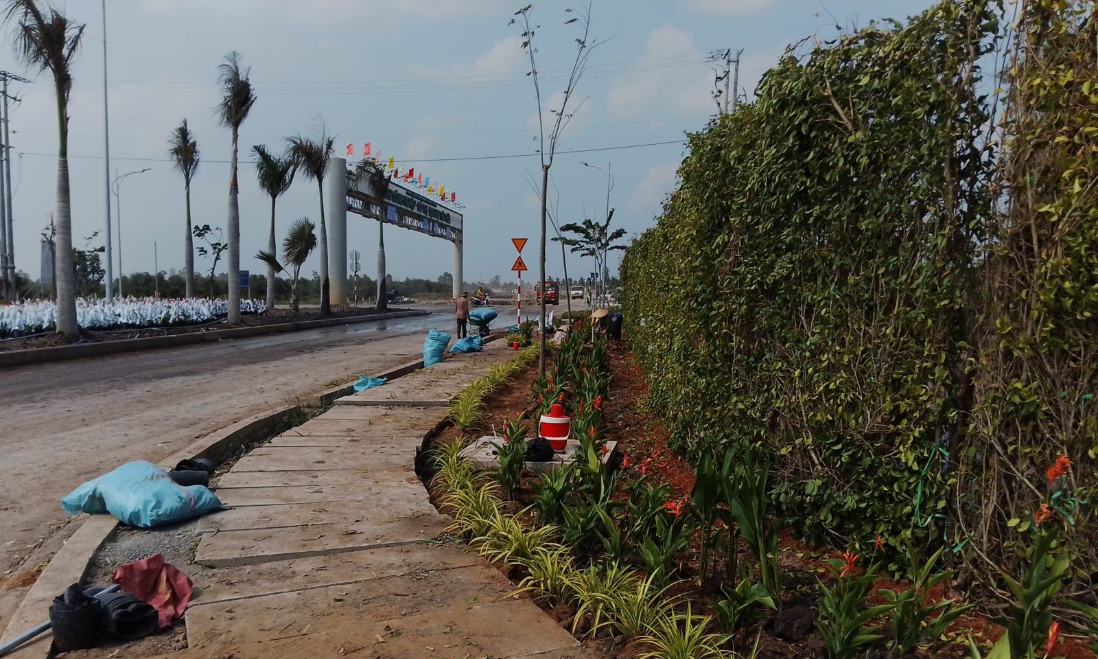 Tường cây xanh và bồn hoa ĐT818 Thủ Thừa