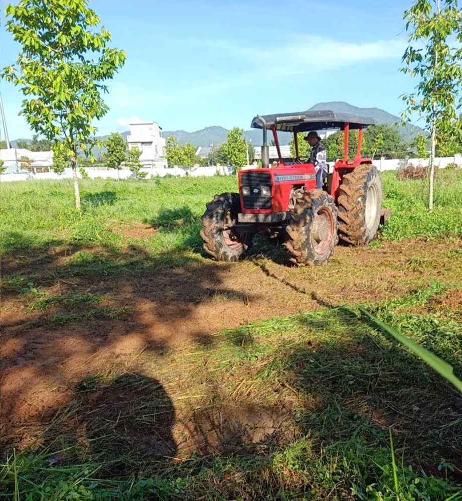 Phát quang cỏ dại bằng máy tại Bà Rịa