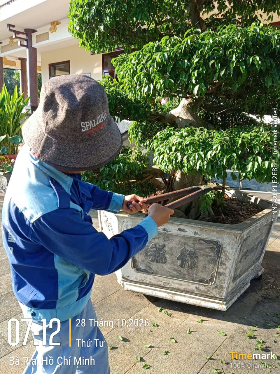 Công nhân Đức Lâm tỉa cây cảnh trong khuôn viên tại Bà Rịa